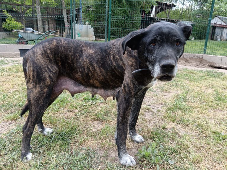 maxi5kep