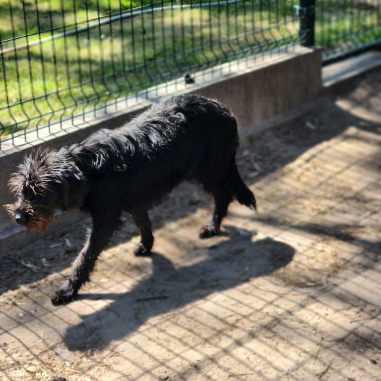 b15kep