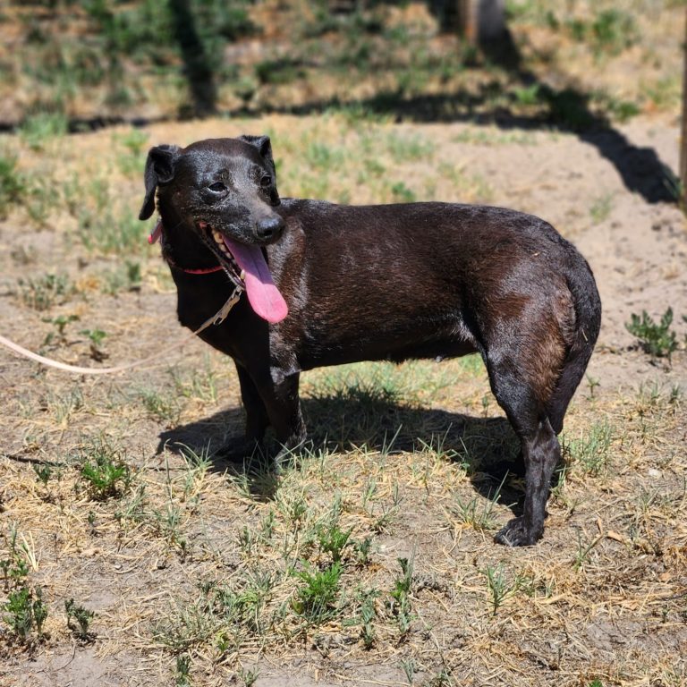 rosie6kep